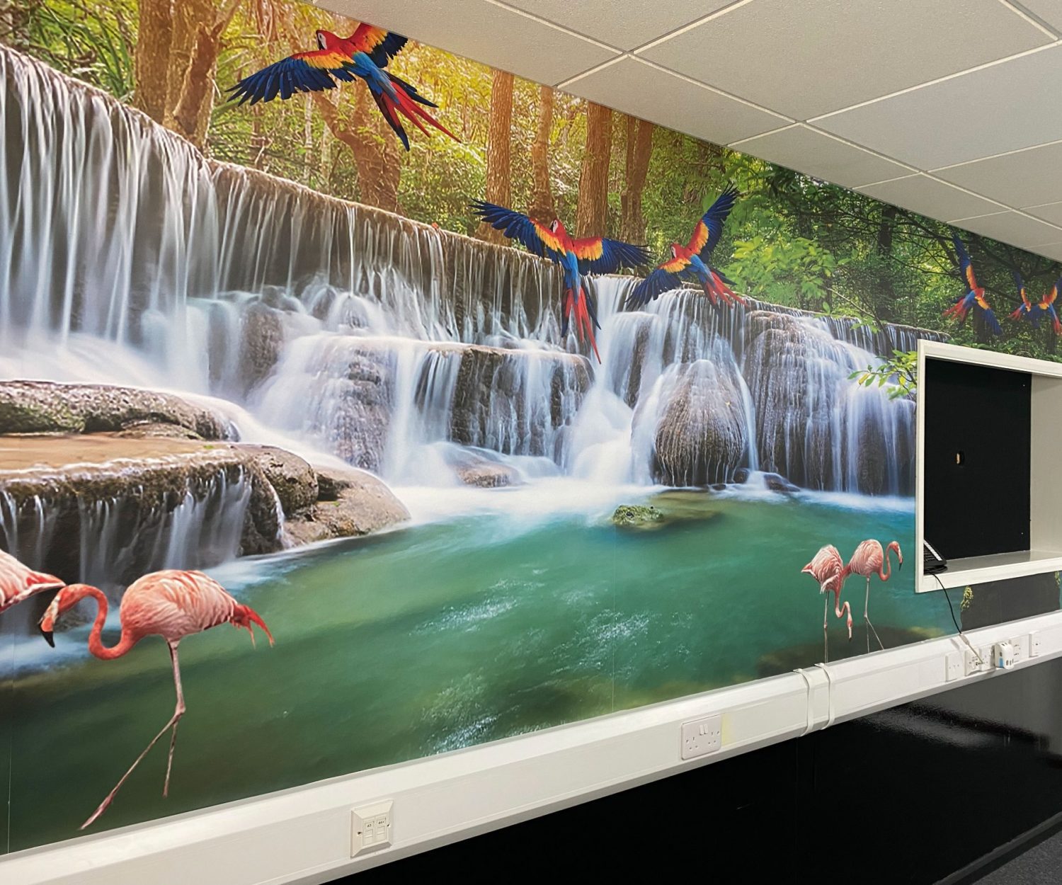 office-wall-graphics-lowestoft-suffolk