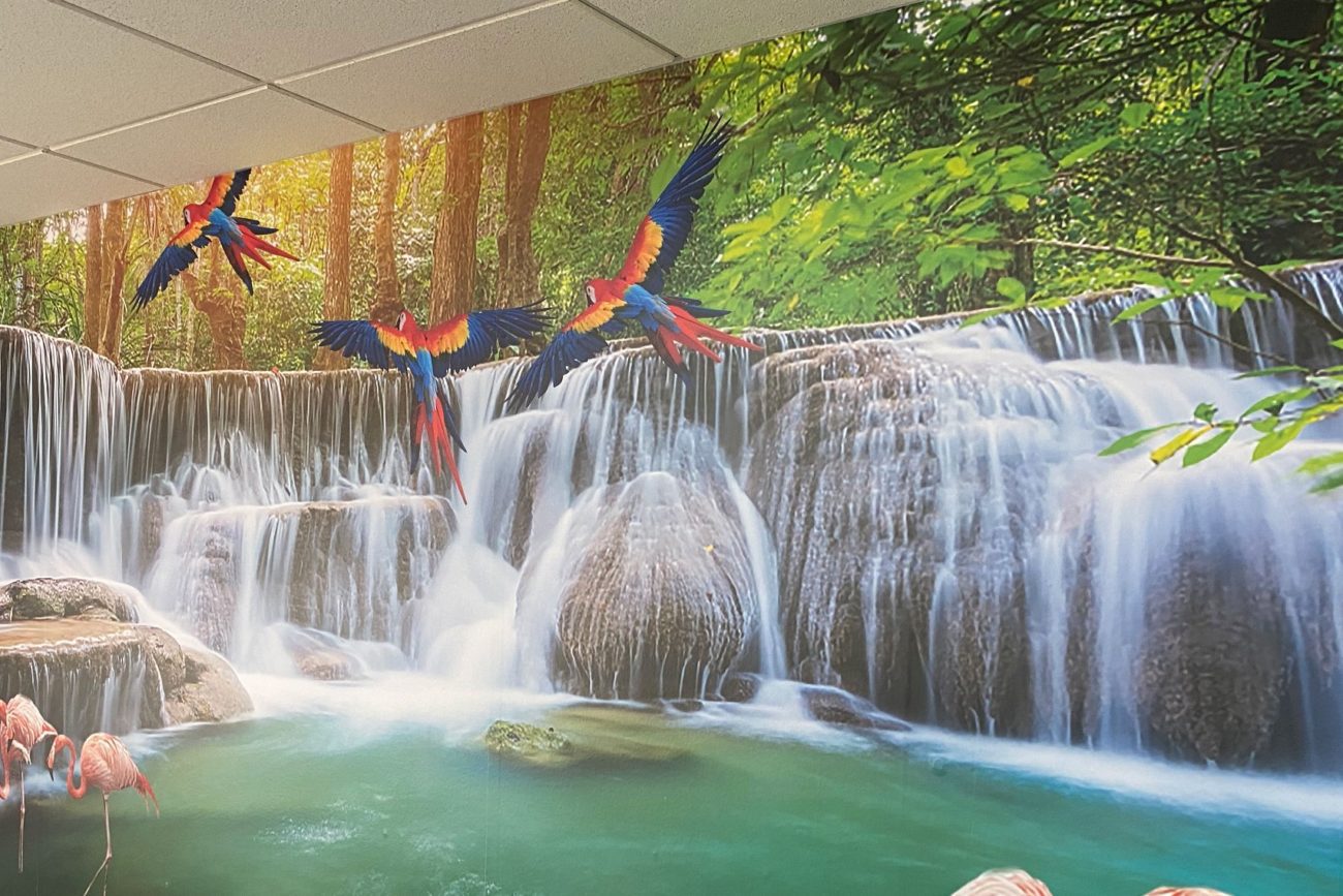 office-wall-mural-lowestoft-suffolk